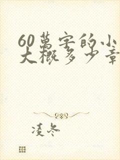 60万字的小说大概多少章