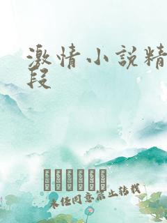 激情小说精彩片段