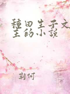 种田生子文双男主的小说