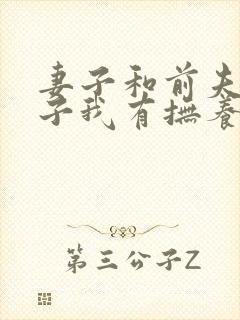 妻子和前夫的孩子我有抚养义务吗