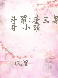 斗罗:唐三是我哥 小说