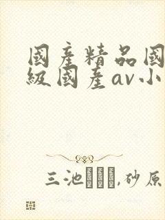 国产精品国产三级国产av小说