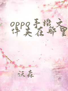 oppo手机文件夹在哪里打开