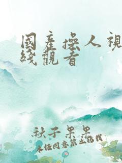 国产操人视频在线观看