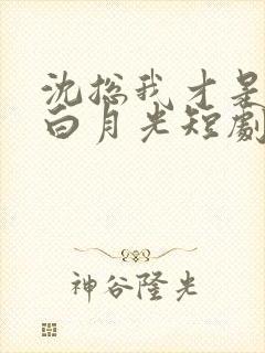 沈总我才是你的白月光短剧免费观看