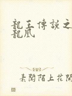 龙王传说之混沌龙凰