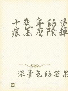 十几年的烫伤疤痕怎么除掉