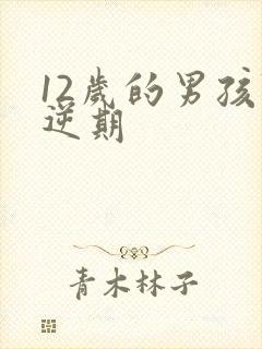 12岁的男孩叛逆期