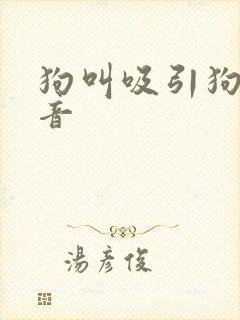狗叫吸引狗的声音