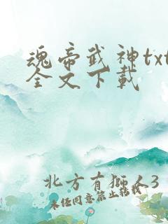 魂帝武神txt全文下载