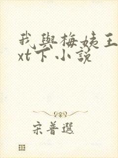 我与梅姨王琴txt下小说