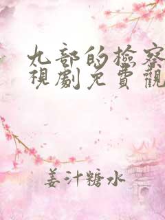 九部的检察官电视剧免费观看完整版