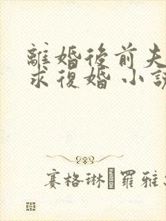 离婚后前夫哭着求复婚 小说完整