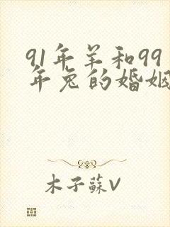 91年羊和99年兔的婚姻如何