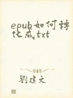 epub如何转化成txt