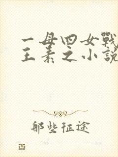 一母四女战一婿王素之小说免费阅读