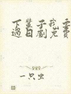 下辈子我要好好过日剧免费观看