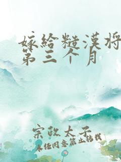 嫁给糙汉将军的第三个月