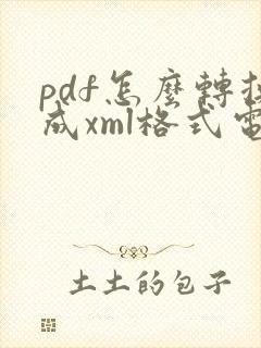 pdf怎么转换成xml格式电子发票