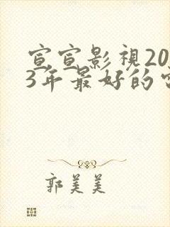 宣宣影视2023年最好的电视剧