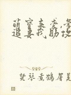 萌宝来袭,爹地追妻我助攻