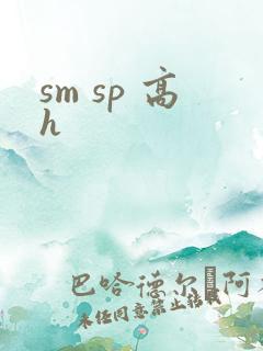 sm sp 高h