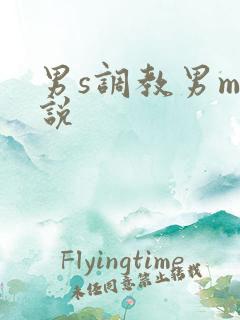 男s调教男m小说