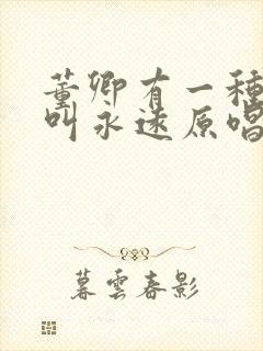 董卿有一种思念叫永远原唱