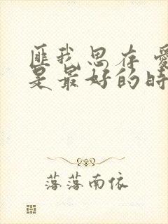 匪我思存 爱你是最好的时光