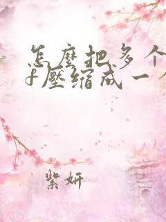 怎么把多个pdf压缩成一个文件