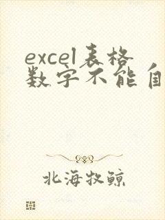 excel表格数字不能自动求和