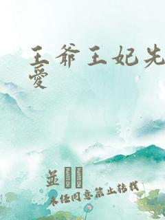王爷王妃先婚后爱