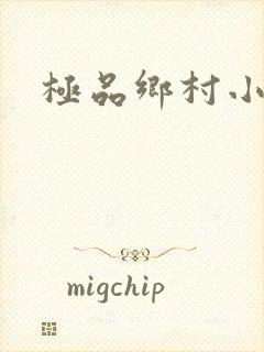 极品乡村小傻医