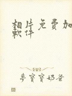 相片免费加水印软件