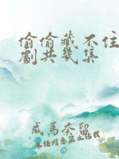 偷偷藏不住电视剧共几集