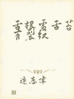 舌根处舌苔黄厚有裂纹
