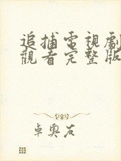 追捕电视剧免费观看完整版海清在线观看
