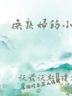 操熟妇的小说