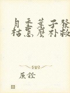 月季叶子发黄干枯怎么补救