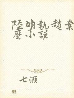 陆明执赵棠儿什么小说