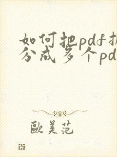 如何把pdf拆分成多个pdf