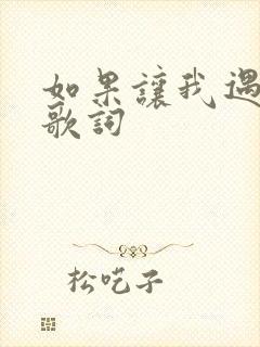 如果让我遇见你歌词