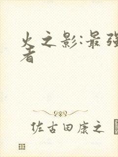 火之影:最强忍者