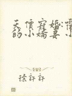 天价宠婚:霍总的小娇妻 小说