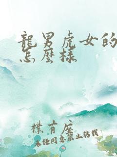 龙男虎女的婚姻怎么样