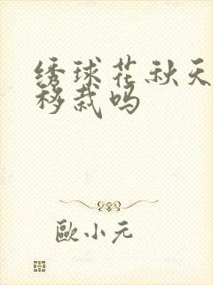 绣球花秋天可以移栽吗