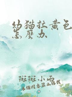 幼猫拉黄色稀便怎么办