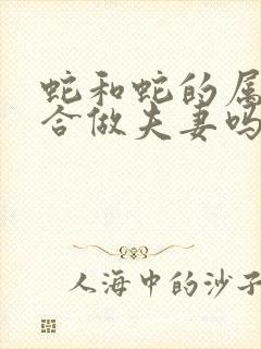蛇和蛇的属相适合做夫妻吗