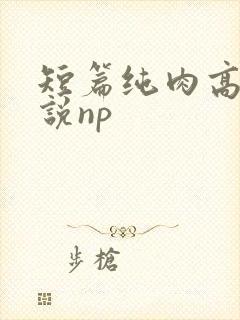 短篇纯肉高h小说np