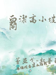 白洁高小坡笔趣阁